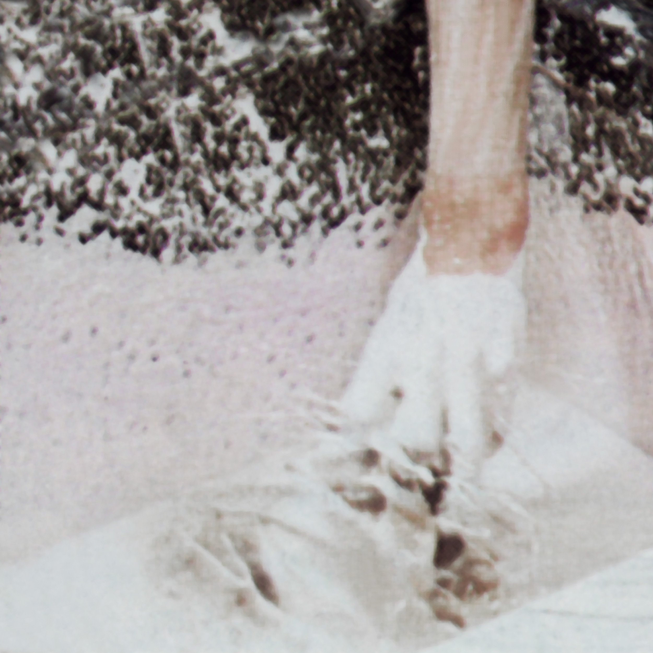 Sans Titre, 2021 — Giclée sur papier chiffon collée sur Dibond, 50 x 50 cm