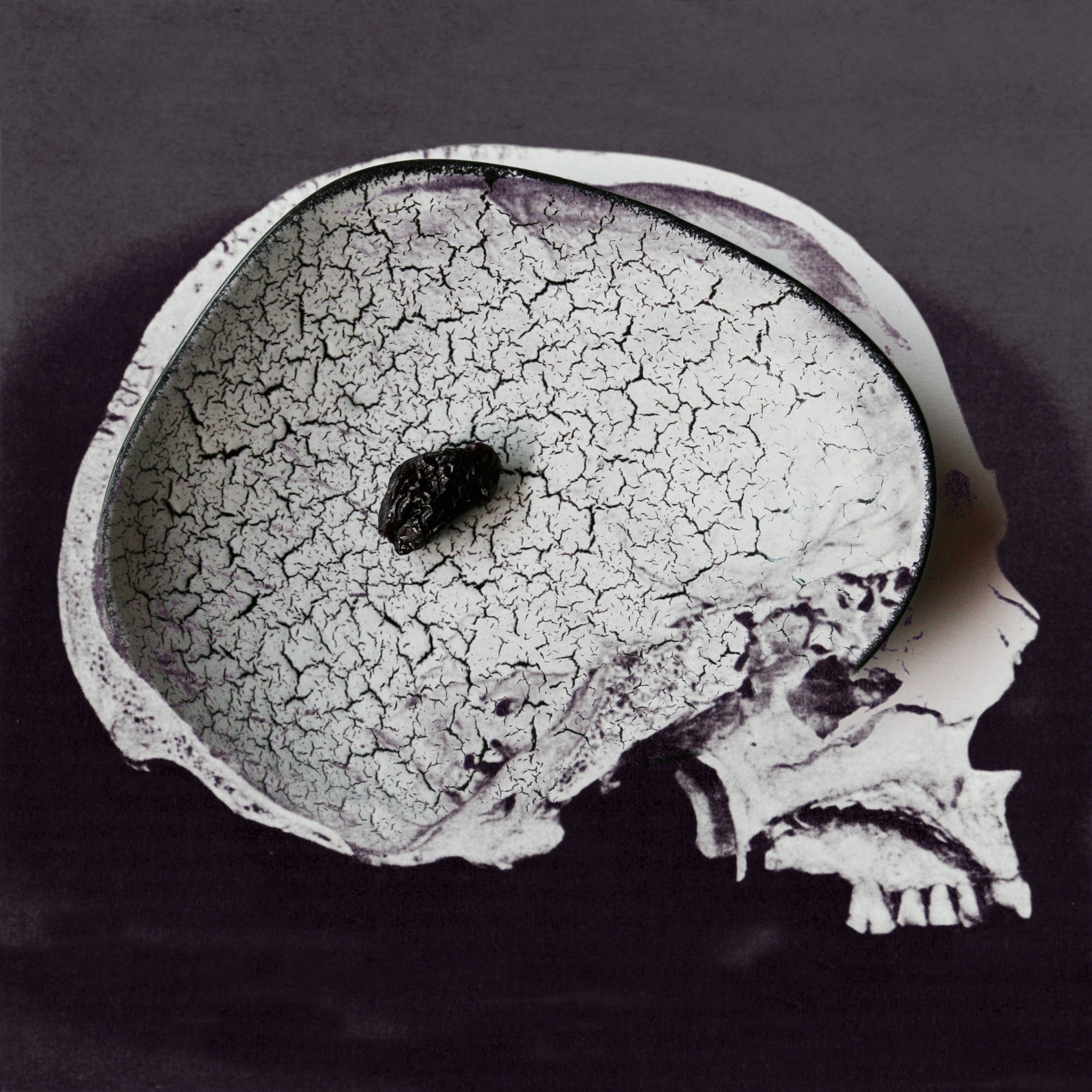 Sans Titre, 2010 — Tirage Lambda collé sur Dibond, 50 x 50 cm