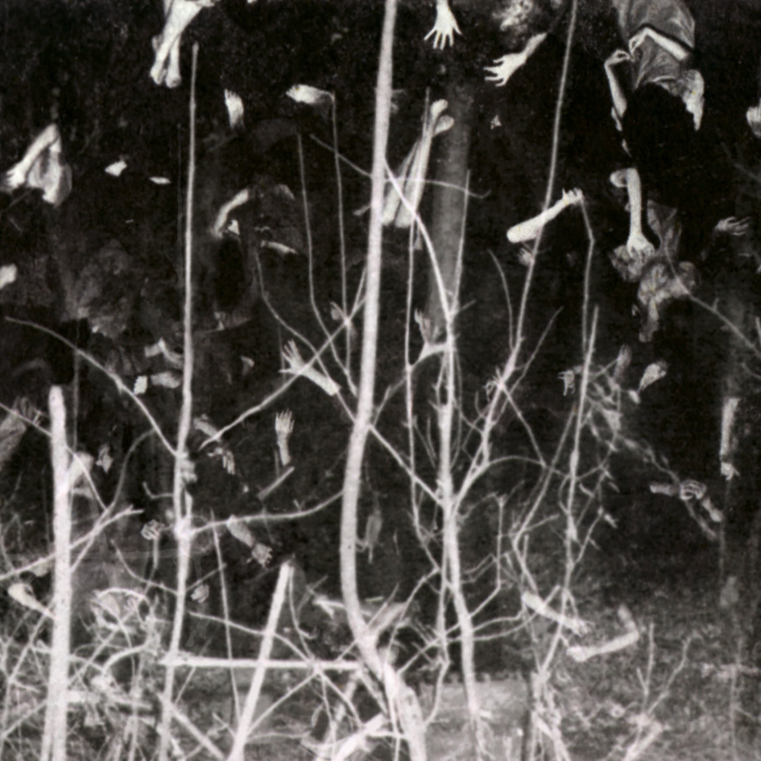 Sans Titre, 2008 — Tirage Lambda collé sur Dibond, 80 x 80 cm