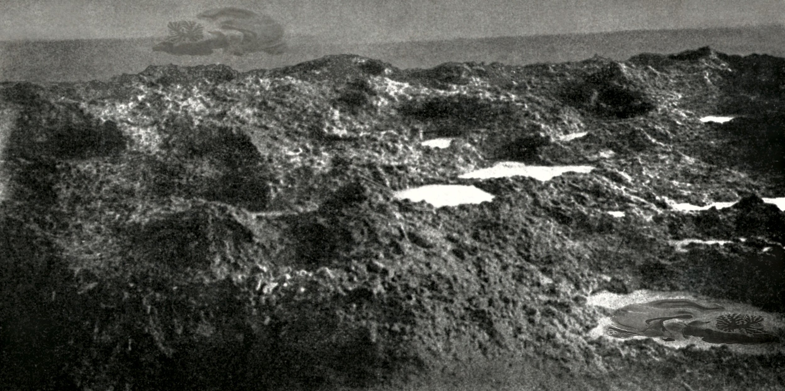 Sans Titre, 2002 — Tirage photographique collé sur Dibond, 100 x 200 cm