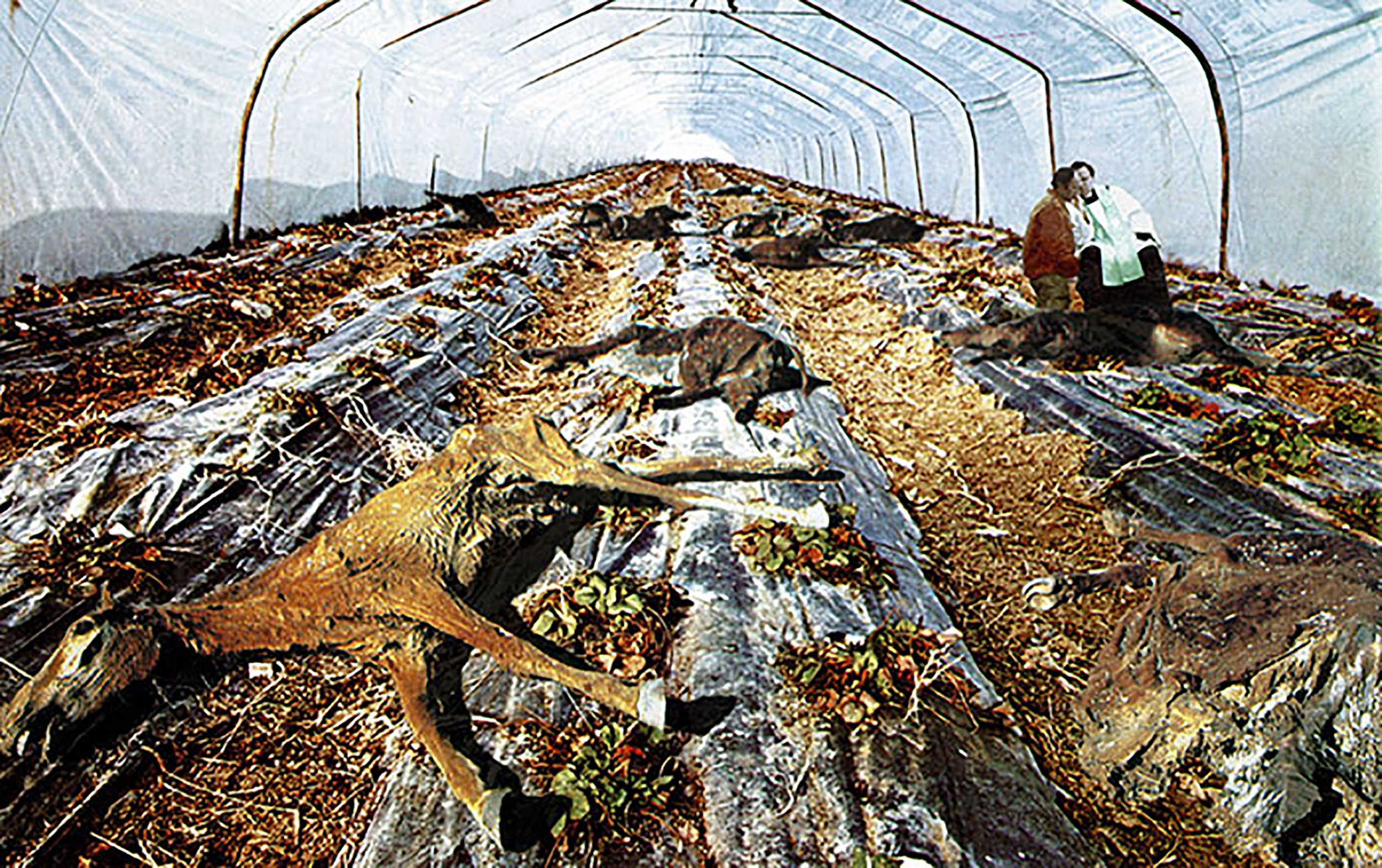 Sans Titre, 1995 — Tirage photographique collé sur Forex, 141 x 223 cm